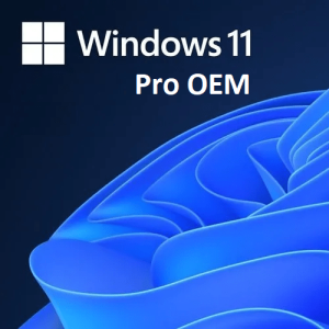 Windows 11 Pro OEM License Key